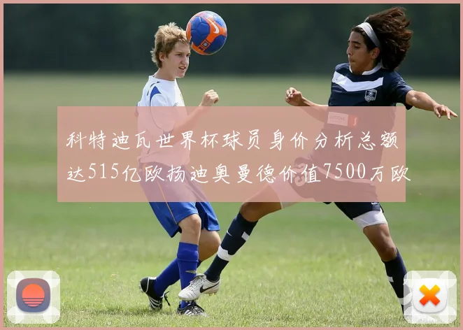 科特迪瓦世界杯球员身价分析总额达515亿欧扬迪奥曼德价值7500万欧